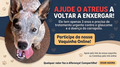 Imagem do tratamento publicada pelo organizador